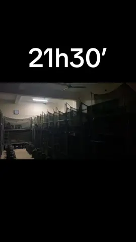 #tanbinh #quangninh #xuhuong  #CAND #nghiavuquansu CHÚC CÁC ĐỒNG CHÍ NGỦ NGON #2024 