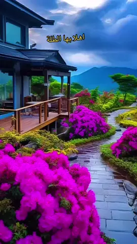 ##اسعد الله مساكم ##🥰🥰🥰 ……صباح #