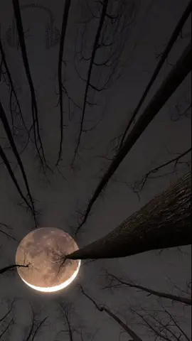 🎧 Snor - Dawk lya #Tunetalks #viral #fyp #snor #songs #lyrics 