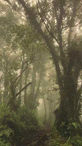 definisi obat tenang tanpa dosis. #fyp #gunungungaran #perantunan 