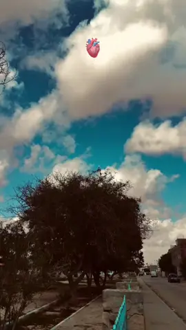 #CapCut #fypシ #fypシ゚viral #foryoupage #viralvideo #الحمدالله_علی_کل_حال❤✌️ 