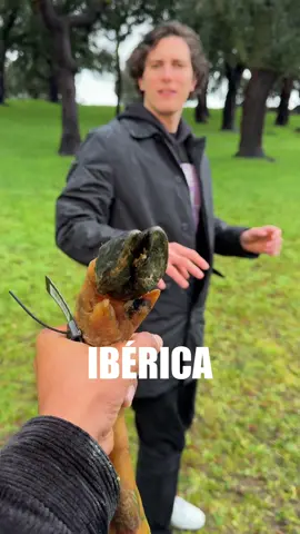 Replying to @🏐🎧🏅🏎️🤽🏻‍♀️💵🎀 Este es el PROCESO COMPLETO del Jamón Ibérico🐖🇪🇸 Después de ver que no somos muy buenos cortando jamón ibérico en México 🤣, nos fuimos a la aventura de conocer el proceso completo del jamón ibérico en Talavera, España.🔪 Desde ver cómo viven los cerdos en la dehesa, hasta conocer todo el tratamiento en la planta, que dura hasta 3 años!!! Una experiencia increíble!!! Y esto apenas empieza!! Pendientes para la siguiente aventura jamonera…  @campofriomx #quechille #SelectoDesdeElOrigen