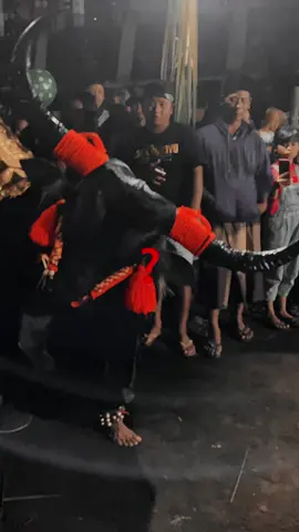 Si paling girasss🐃🐃🐃 #fypシ#satriolorxbudoyo #bantenganmalang #pmberottt🦬 #bantengnuswantara #bantengbrangwetan #viral #kebogiras 
