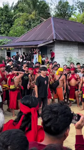 Gawai Tahun Baru Padi, Paku Raya #CapCut #dayakkalimantan 