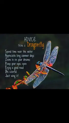 I don't own the copyrights to this music 🎶 And I don't own the copyrights to this picture 