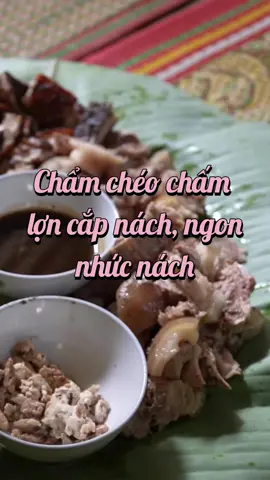 Chẩm chéo Sapa TV chấm lợn cắp nách Hà Giang mà nhức cái nách #sapatv #chamcheotaybac #chamcheosapatv #xuhuong #xh #viral #fyp