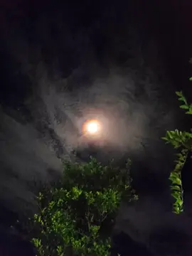 #fyp #fypdong #lagutimur #laguambon #lagugalau #masukbranda #wizzbaker baker #storysad #xyzbca #storyfyp #mulaimalamini 