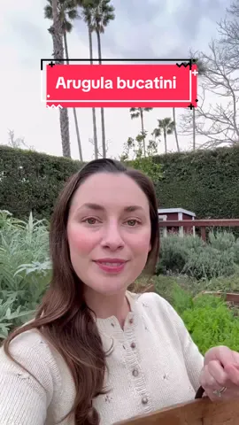 Arugula Bucatini with Guanciale featuring the first asparagus of the season! 💚 blanching the arugula helps to cut back on the spice- when it bolts like this it can be super strong! #garden #pasta #cooking #gardening 