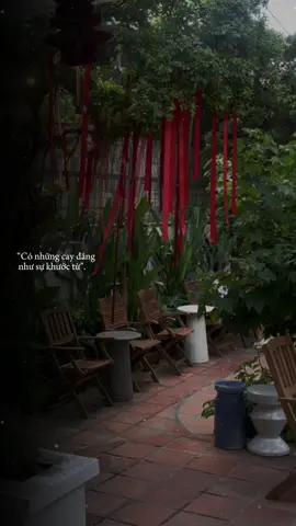 Có những cay đắng như sự khước từ#motngaybuon 