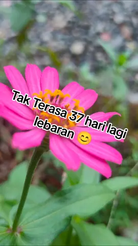 #FiturSuaraTikTok #fyp #fypシ 