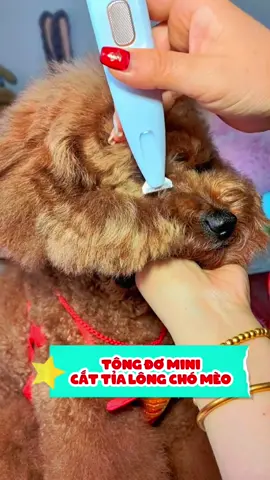 Tông đơ mini tỉa lông cho thú cưng #cute #cutedog #puppydog #puppy #animals #abcxyz #xyzbca #pets #fyp 