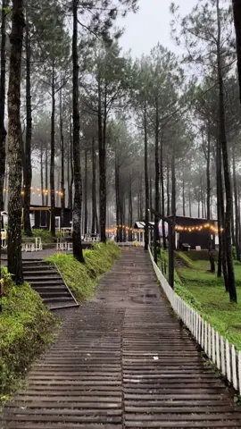 Sesekali pergi temui dirimu sendiri 🙃 #aonetrawas #aonetrawasmojokerto #trawas #cafeoutdoor #xyzbca #foryou #foryoupage #fyp #fypシ #forest 