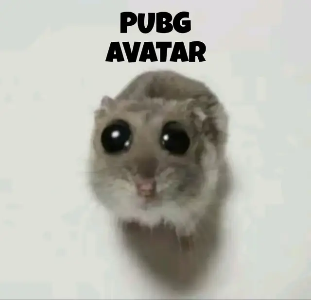 Sad hamster profil picture #pubgmobile #pubgindonesia #pubgvn #pubgph #pubgthailand #pubgm #sadhamster #profil #hamstermeme 