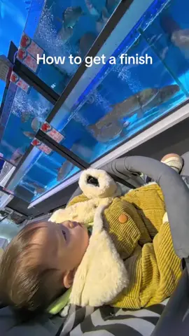 How to get a fish. #gofishing #babyfish #baby #babies #baby #funnybaby #fyp 