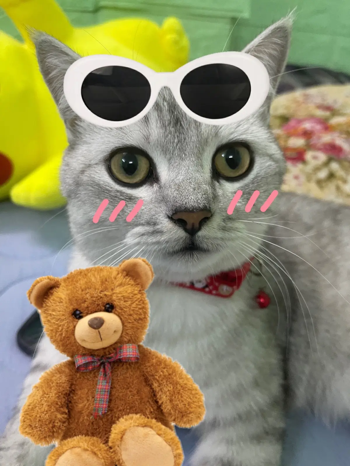 Ủa ai dạ? #xh #fyp #catcutemoments #tiktok #LearnOnTikTok #storytime 