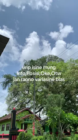 wong tulus tenan #jatisronosektormletre #wonogiri24jam #jowopridee 