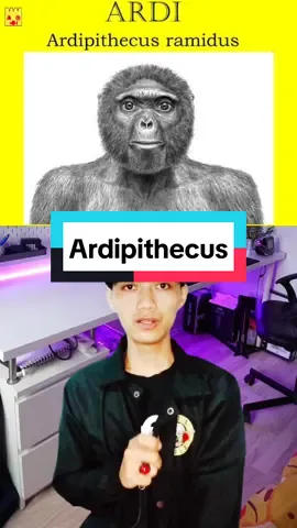 Hai Ardi? #manusiapurba #100kfollowers🔥 #rendidiamond #serunyabelajarditiktok #vidiolebihpanjang 