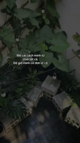 Cô đơn qué….. #lunyentertainment #confide_one #tiktokgiaitri #vieconfedi #podcastvie 