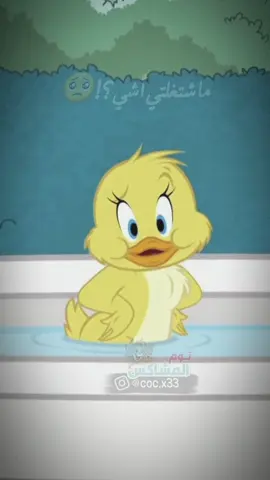 بنات مين يصير معاها هيك بلبيت 😂💔 منشن للبست تتشاركو الأحزان 😂😝 #كوميدي #توم_المشاكس #بطوط #الشعب_الصيني_ماله_حل😂😂 #الجيمر_الخارق #حالات_واتس 