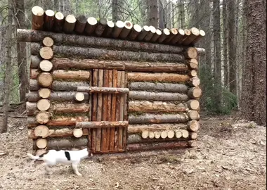 Build a small wooden house in the forest #bushcraft #survival #bulding #camping 