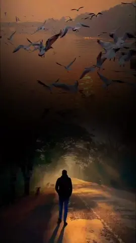 الخير فيما اختاره الله لنا❤️🤲#اللهم_اخترلي_ولاتخيرني #الخيره_فيما_اختاره_الله #اللهم_قدراً_جميلاً #يارب #مواعظ_مؤثرة #عبدالله_البواردي #fyp #fupシforyou #foryou #foreyoupage #تصاميم_ورد🌸 