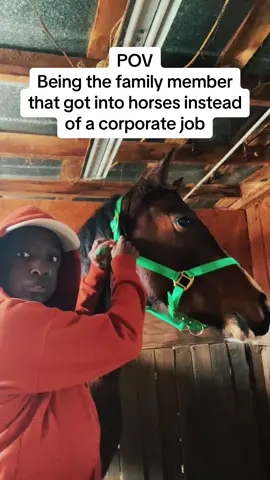 Might not pay as much but it’s more fun😄  #fyp #fypシ゚ #horsetok #horsesoftiktok #horses #horseriding #equestrian #quarterhorse #funnyvideos #fyppppppppppppppppppppppp 