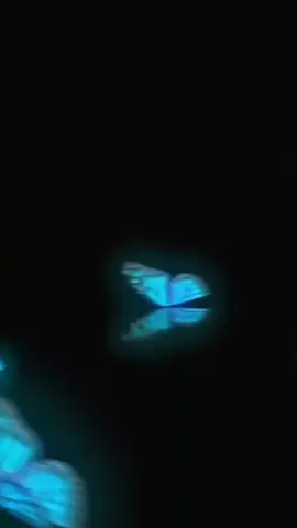 butterfly overlay ! my main acc: @яσяσ’ 🫶🏻 #androidhelpsss 