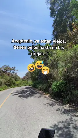 Si ya estás viejo, acéptalo 😂😅😆  #humor #risas #comedia #cancionesparadedicar 