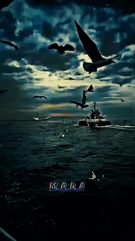 #CapCut #اكسبلور #الصبر_مفتاح_الفرج #tiktokindia 