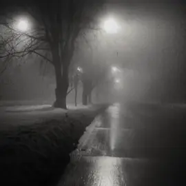 #sad #foryou #forest #solidao #solidao💔🥀 #vibe #vibes #aesthetic #darkness 