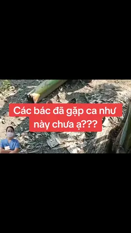 Gà nghẹo đầu,xoay tròn...biểu hiện thần kinh!!!#gàchiến #úmgàcon #nuôigà #gà_chọi_việt_nam❤️ #gà #nhànông #khám_bệnh_vật_nuôi_online #thuydangngan 