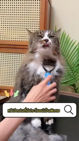 สัตว์เลี้ยงที่มีผมผูกปมได้ง่ายสามารถลองหวีเปิดปมนี้ยังสามารถทำความสะอาดขนที่ลอยได้โดยไม่ทำร้ายผิว#หวีเปิดปม #tiktokshopcrossborder_seasale #tiktokshopsgale #goodthing #fyp 