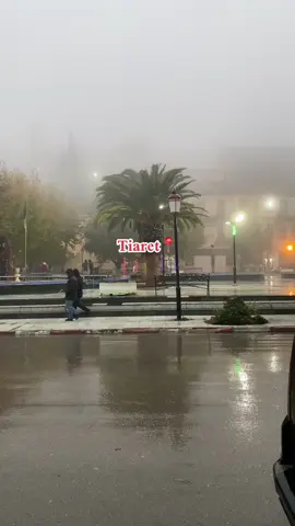 تيارت و الضباب ايا تهلاو لكيب ديرولي ابوني و متنساوش نحبكم قاع تبانو فلكمونتار 😍😍  #تيارت #tiaret14♥ #tiaret #tiaretyya #tiaret♥️_oran_✨_tlemcan_💚algi❤️ #تيارتي #تيارتية_و_نموووت_عليكم___قانون #fupシ #14 #fyoupage #ناس_الغربة #fyoupage #reelsviral #fupシ #14 #fupage #reels__tiktok #tiaret♥️_oran_✨_tlemcan_💚algi❤️  @MedS 