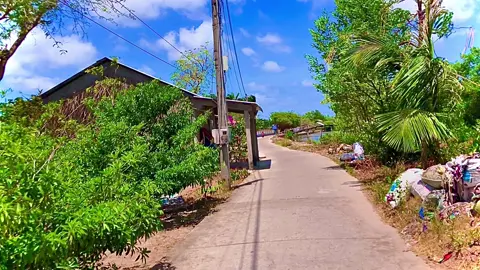 Nhà tui cái nước có ai cùng quê homg nè #cảnhđẹpthiênnhiên #miềntây #cảnhđẹpthiênnhiên #chil #chil #cảnhđẹp #miềntây #camau #xuhuong #fyp 