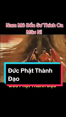 Đức Phật Thành Đạo. Nam Mô Bổn Sư Thích Ca Mâu Ni Phật#nammobonsuthichcamauniphat #phimcuocdoiducphat #phatphapnhiemmau🙏🙏🙏 #đaophattrongtraitim #tamnhu #xuhuong 