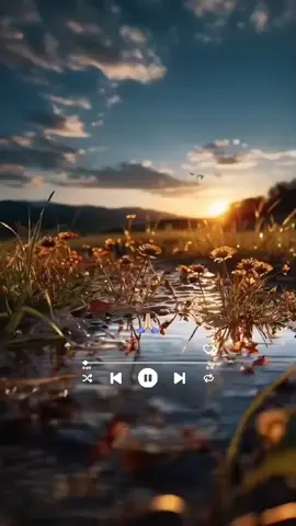 🧡Gracias Señor, por este día,que bello amanecer, que hermoso es tu sol☀️🎶 #joansebastian #graciasseñor #agradecidos  #letrasdecanciones  #videoviral  #parati