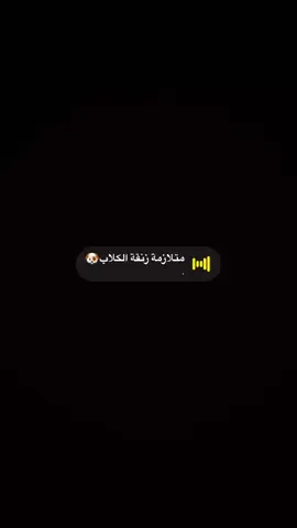 #اكسبلورexplore #explore #المدينه_المنوره_الان 