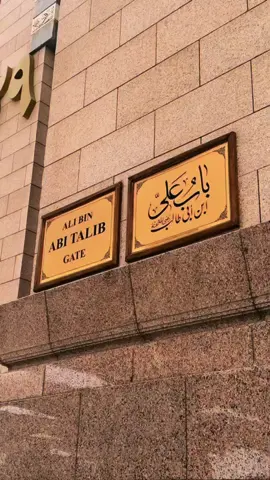 كان ابي يحكي قصةً عن بطلِ اسمعها اغفو وهمومي تنجلي😔❤️#ياعلي #الامام_علي_عليه_السلام♡ #اكسبلورexplore 