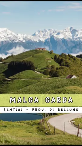 📍 Malga Garda - Lentiai (Belluno) ➡️ Facile escursione tra Feltre e Belluno, su ampia e semplice strada, asfaltata inizialmente e sterrata poi, che vi condurrà fino a Malga Garda. La passeggiata è molto rilassante e panoramica. Si potranno infatti ammirare la Valbelluna con le Dolomiti bellunesi, la conca feltrina con il Monte Avena, le Vette feltrine e il Monte Pavione, il Monte Tomatico e più in lontananza la catena settentrionale dell’altopiano di Asiago con Cima XII, Ortigara e Portule.  ℹ️ 8,5km andata e ritorno con dislivello 250mt 📌 Partenza: dopo aver raggiunto il paese di Lentiai, si seguono le indicazioni per Colderù e si sale fino al ristorante da Baiocco. Da qui si sale ancora per circa 1km e si raggiunge il punto di partenza dove è presente un bel parcheggio e si può lasciare l’auto. ✏️ Il percorso è molto facile, alla portata di tutti e fattibile in tutte le stagioni dell’anno. Attenzione perche durante i week end è molto frequentato sia da escursionisti che da ciclisti. 📝 Il periodo migliore per effettuare questa passeggiata è sicuramente verso la metà di maggio quando i prati si riempiono di tantissimi e profumatissimi narcisi bianchi. ‼️ Durante il periodo estivo munirsi di crema solare, cappellino e bottiglietta d’acqua in quanto il percorso è interamente esposto al sole. #dolomiti #dolomitiemotions #dolomites #dolomitiunesco #dolomitiitaly #veneto #italy #belluno #dolomitibellunesi #venetosegreto #venetodascoprire #italia #malgagarda #narcisi 