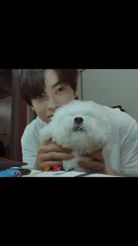 CHA EUN-WOO 차은우 - 'You're the best' M/V OUT! #CHAEUNWOO #차은우 1ST MINI ALBUM [ #ENTITY ] #Youre_the_best