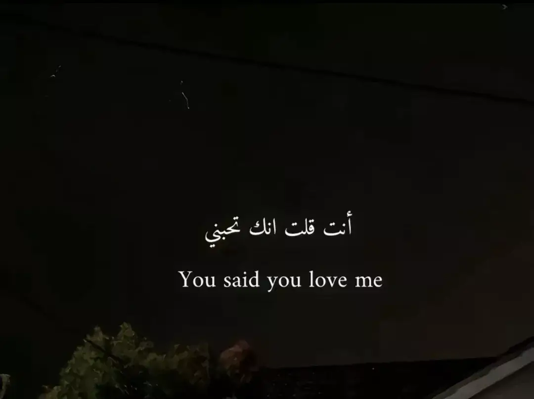 #كتاباتي #اقوال #حب #مالي_خلق_احط_هاشتاقات #fouryou #lyricsvideo #music #الشعب_الصيني_ماله_حل😂😂 #lyrics #fyyyyyyyyyyyyyyyy #عبارات_جميلة #tiktokindia #viralvideo #viral #fypシ゚viral 