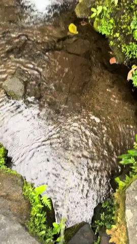 Free to use the video to prank your friends #naturetravel #naturepranthan #travelprank