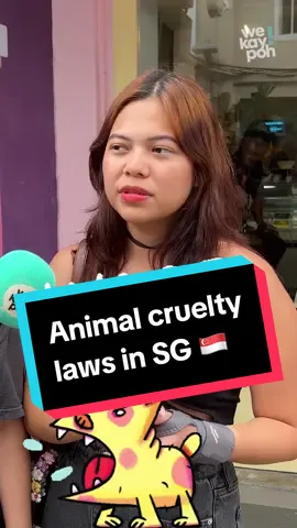 A helper was recently discovered to have abused a dog to death, when she was hired to take care of it. We asked Singaporeans their thoughts on the situation and animal cruelty laws in #Singapore. #dog #pet #furbaby #pettok #PetsOfTikTok #sgnews #news #wekaypoh 