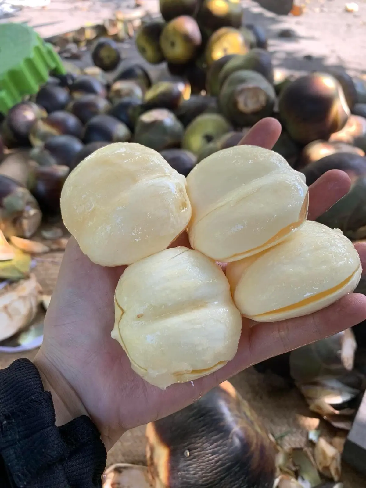 🍀 Đợt trước em lấy thốt nốt An Giang về tươi quá lại dẻo ai cũng mê nên em sẵn gom đơn cho ai cần thì em lấy chung.  • Thốt nốt tươi 85k 1kg • Đường Thốt Nốt Tươi 1 hủ 75k/ hủ  • Đường Thốt Nốt Viên 70k  Đường Thốt Nốt dùng nấu chè, kho cá, làm nước màu, làm bánh nha khách. Đường mua trực tiếp ở An Giang nên thơm và ngon lắm.  Ib em đặt ạ  ☎️ 0788697794