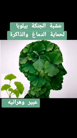#معلومات #algeria #جزائري🇩🇿 #viral #fypシ 