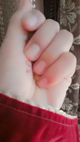 #❤️❤️❤️❤️❤️❤️❤️❤️❤️❤️❤️❤️❤️❤️❤️ 