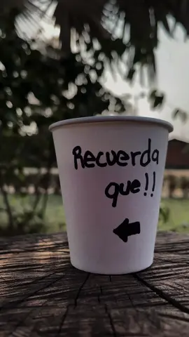 Lo estas ahciendo bien!! #cofee #cafe #cafecolombiano #nectar #loestashaciendobien #palabras #palabrassabias #palabrasmotivadoras #motivacion #viralvideo #viral #viralvideotiktok #parati #goodmorning #buenosdiasmundo 