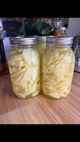 Why I can apple slices instead of pie filling 🍏  Versatility If I can them as filling then that's the only thing I can use it for. If I can them as slices I can use them for multiple goodies They have more value for me that way, and they will already be peeled and sliced Great for pies, snacking, simmering, adding to meats and other dishes. Did I say snacking? I had a lot of questions about the 