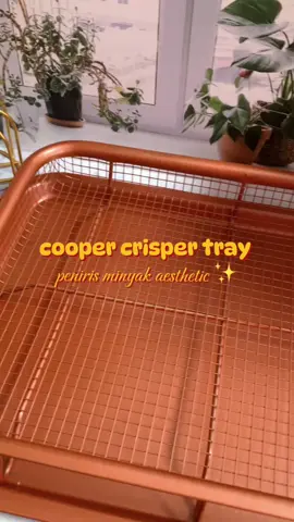 crisper tray alat meniris minyak goreng