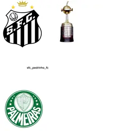 Santos vs palmeiras #santos #palmeiras #palmeirasnaotemmundial #fypシ゚viral